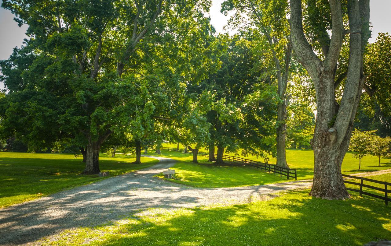 Glen Gordon Manor Bed and Breakfast Huntly Buitenkant foto